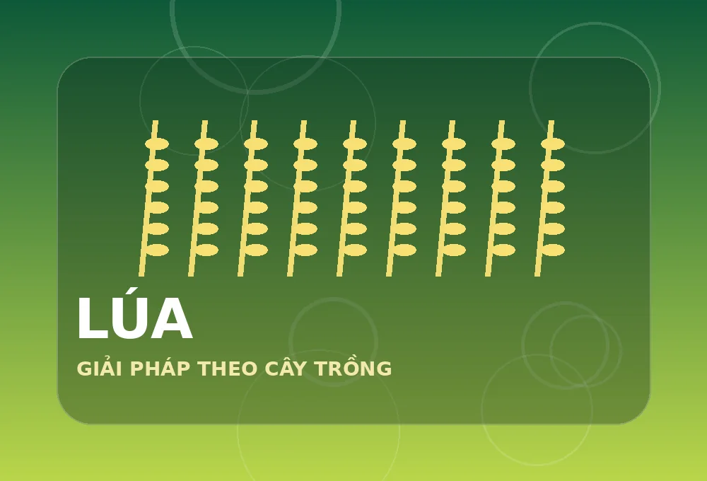 Giải pháp phân bón cho cây lúa