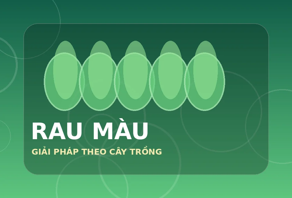 Giải pháp phân bón cho rau màu